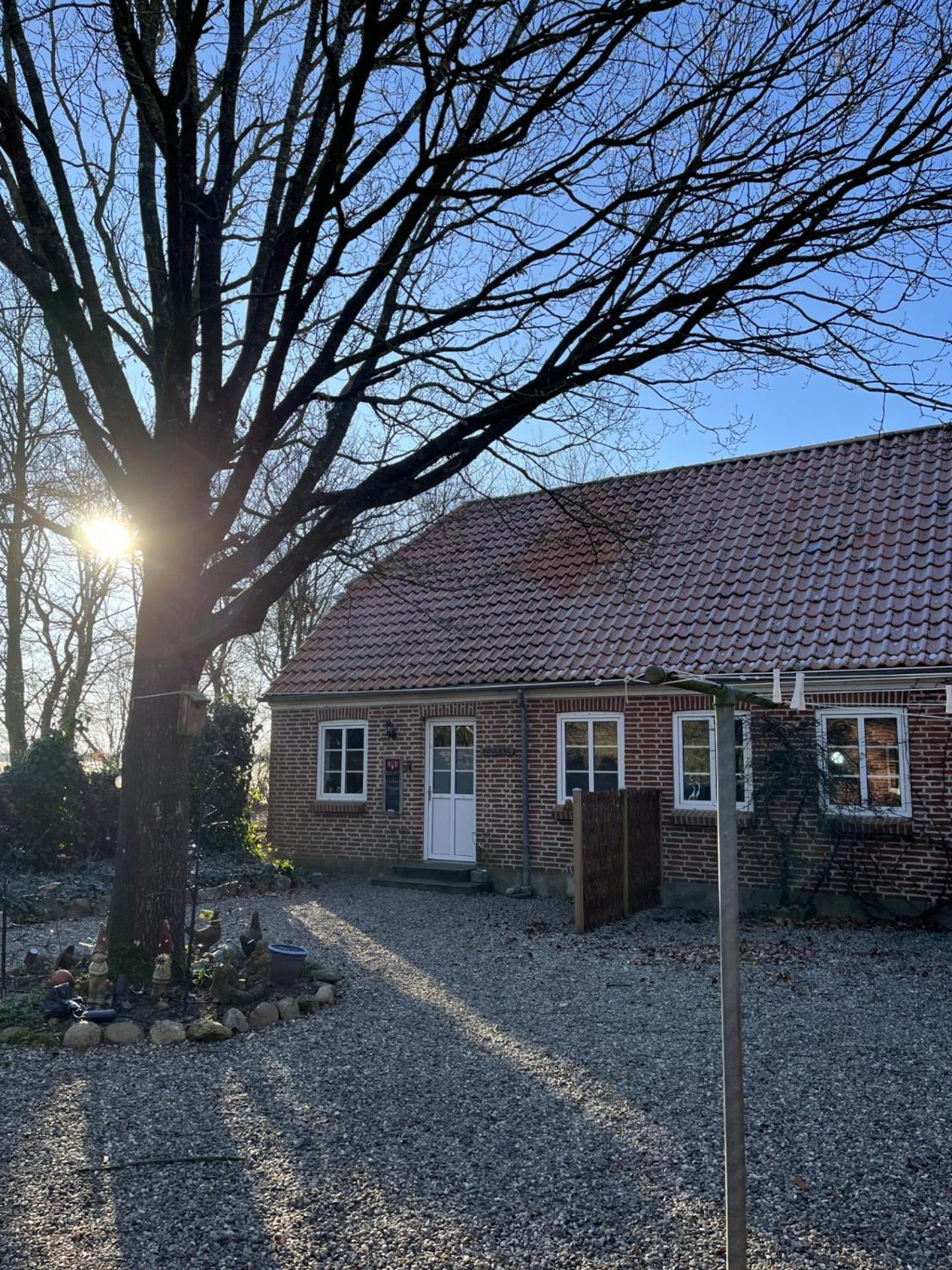 Familiehuis Boysen Appartementen Ribe Exterior photo